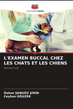 L'Examen Buccal Chez Les Chats Et Les Chiens