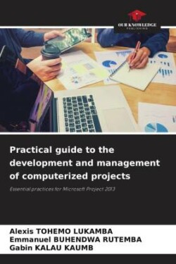 Practical guide to the development and management of computerized projects