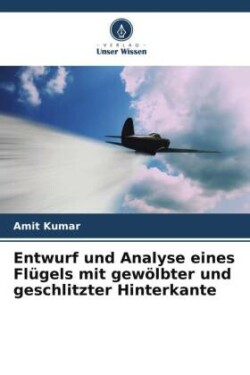 Entwurf und Analyse eines Flügels mit gewölbter und geschlitzter Hinterkante