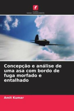 Concepção e análise de uma asa com bordo de fuga morfado e entalhado