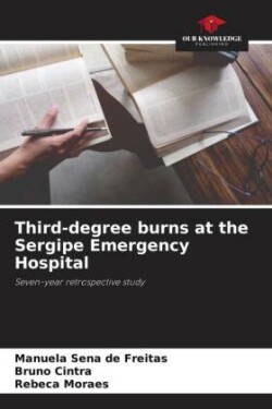 Third-degree burns at the Sergipe Emergency Hospital