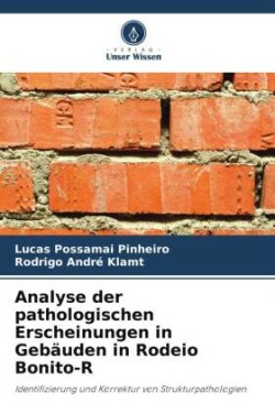 Analyse der pathologischen Erscheinungen in Gebäuden in Rodeio Bonito-R