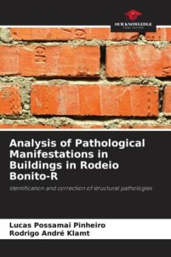 Analysis of Pathological Manifestations in Buildings in Rodeio Bonito-R