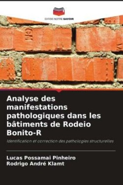 Analyse des manifestations pathologiques dans les bâtiments de Rodeio Bonito-R