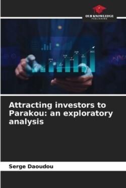 Attracting investors to Parakou