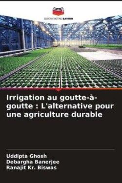 Irrigation au goutte-à-goutte