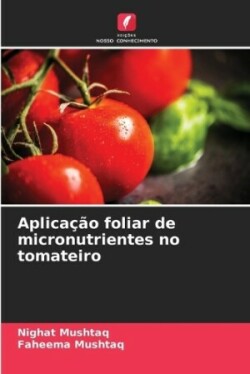 Aplicação foliar de micronutrientes no tomateiro