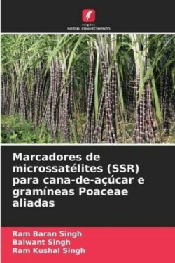 Marcadores de microssatélites (SSR) para cana-de-açúcar e gramíneas Poaceae aliadas