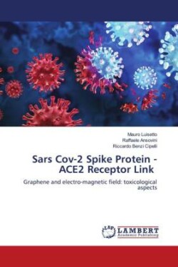 Sars Cov-2 Spike Protein - ACE2 Receptor Link