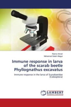 Immune response in larva of the scarab beetle Phyllognathus excavatus