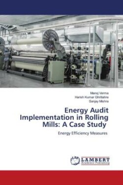 Energy Audit Implementation in Rolling Mills