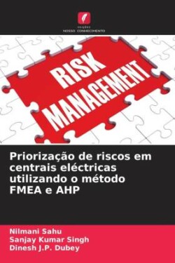 Priorização de riscos em centrais eléctricas utilizando o método FMEA e AHP