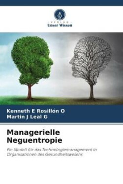 Managerielle Neguentropie