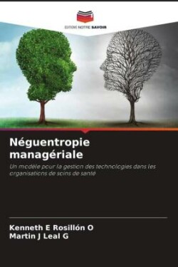 Néguentropie managériale