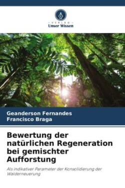 Bewertung der natürlichen Regeneration bei gemischter Aufforstung