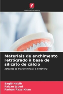 Materiais de enchimento retrógrado à base de silicato de cálcio