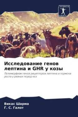 Исследование генов лептина и GHR у козы