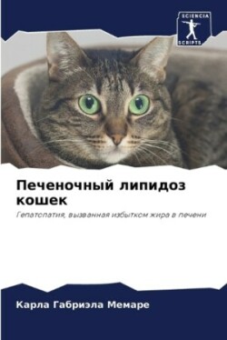 Печеночный липидоз кошек