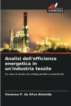 Analisi dell'efficienza energetica in un'industria tessile