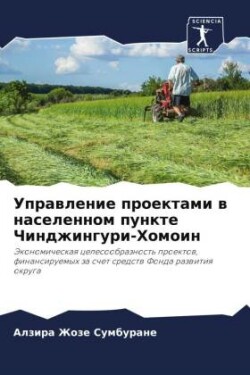 Uprawlenie proektami w naselennom punkte Chindzhinguri-Homoin