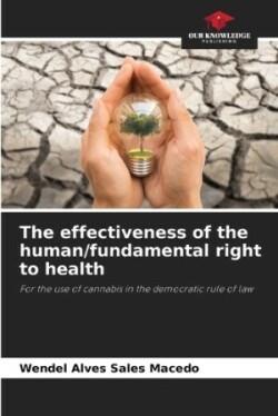 effectiveness of the human/fundamental right to health