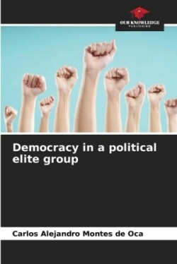 Democracy in a political elite group
