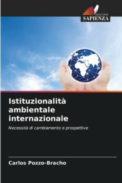 Istituzionalità ambientale internazionale