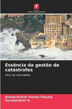 Essência da gestão de catástrofes