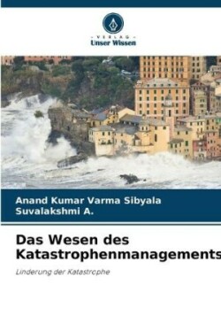 Wesen des Katastrophenmanagements
