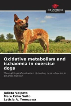 Oxidative metabolism and ischaemia in exercise dogs