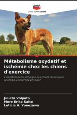 Métabolisme oxydatif et ischémie chez les chiens d'exercice
