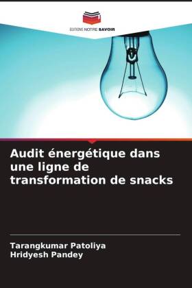 Audit énergétique dans une ligne de transformation de snacks