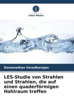 LES-Studie von Strahlen und Strahlen, die auf einen quaderförmigen Hohlraum treffen