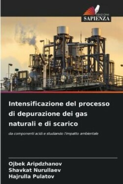 Intensificazione del processo di depurazione dei gas naturali e di scarico
