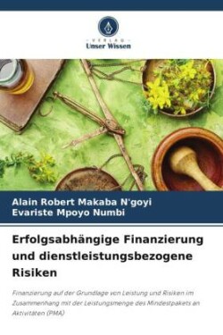 Erfolgsabhängige Finanzierung und dienstleistungsbezogene Risiken