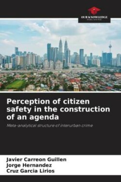 Perception of citizen safety in the construction of an agenda