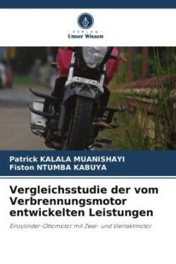 Vergleichsstudie der vom Verbrennungsmotor entwickelten Leistungen