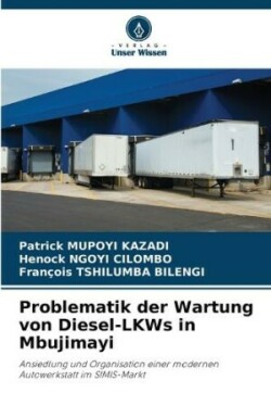 Problematik der Wartung von Diesel-LKWs in Mbujimayi