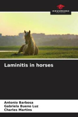 Laminitis in horses