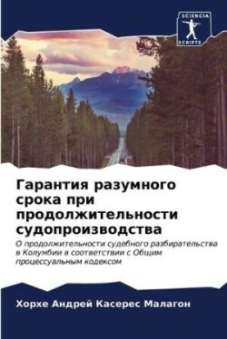 Гарантия разумного срока при продолжител
