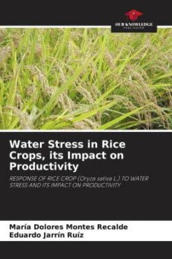 Water Stress in Rice Crops, its Impact on Productivity