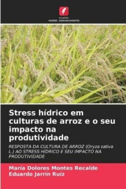 Stress hídrico em culturas de arroz e o seu impacto na produtividade