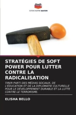 Stratégies de Soft Power Pour Lutter Contre La Radicalisation