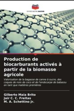 Production de biocarburants activés à partir de la biomasse agricole