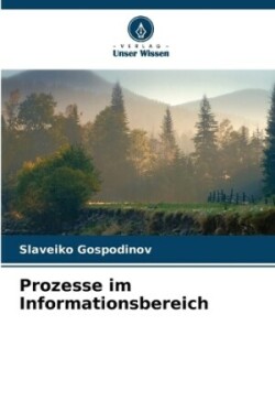 Prozesse im Informationsbereich