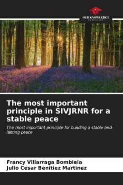 most important principle in SIVJRNR for a stable peace