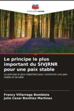 principe le plus important du SIVJRNR pour une paix stable