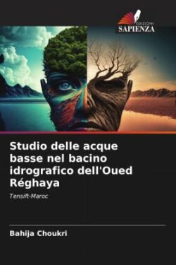 Studio delle acque basse nel bacino idrografico dell'Oued Réghaya