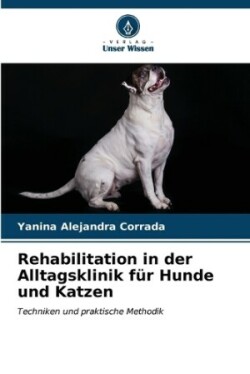 Rehabilitation in der Alltagsklinik für Hunde und Katzen