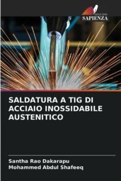 Saldatura a TIG Di Acciaio Inossidabile Austenitico